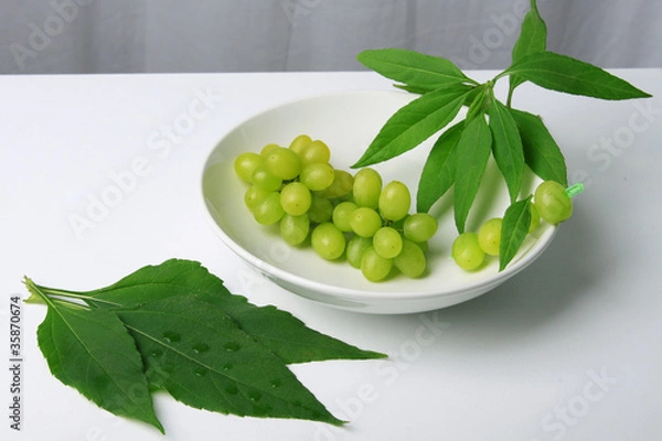 Obraz Weintrauben in einer Schale