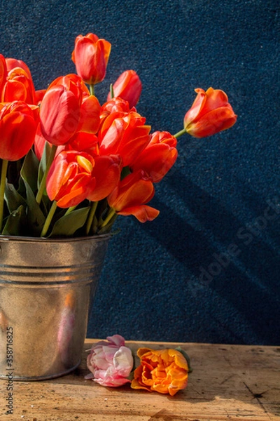 Fototapeta bucket of red tulips on a wooden table on a dark background