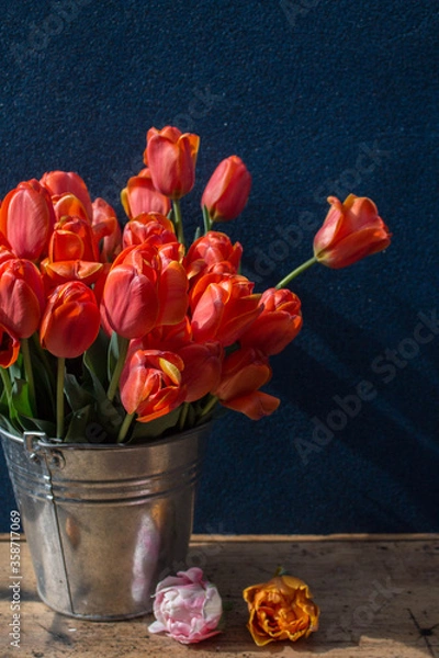 Fototapeta bucket of red tulips on a wooden table on a dark background