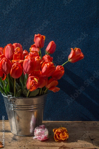 Fototapeta bucket of red tulips on a wooden table on a dark background