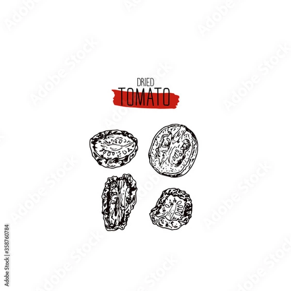 Obraz Hand drawn sketch style dried tomato. Vector illustration. 