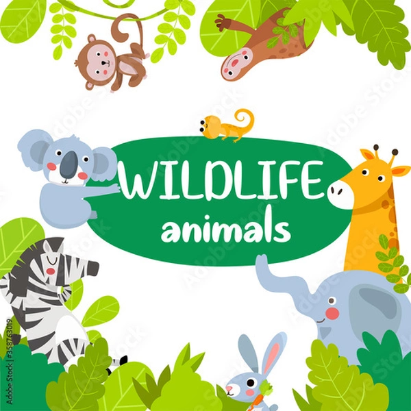 Fototapeta Wildlife animals. Animals of the jungle, frame. African Animals Frame. White background.