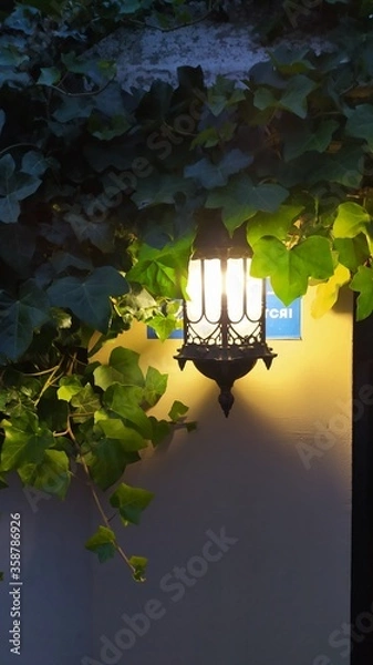 Obraz lantern in the garden