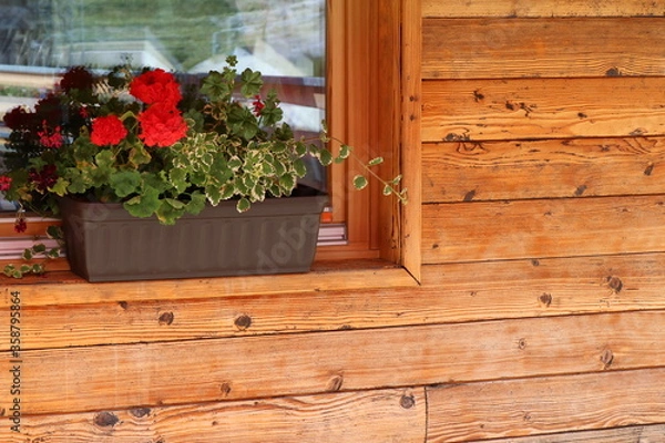 Obraz kwiaty na oknie