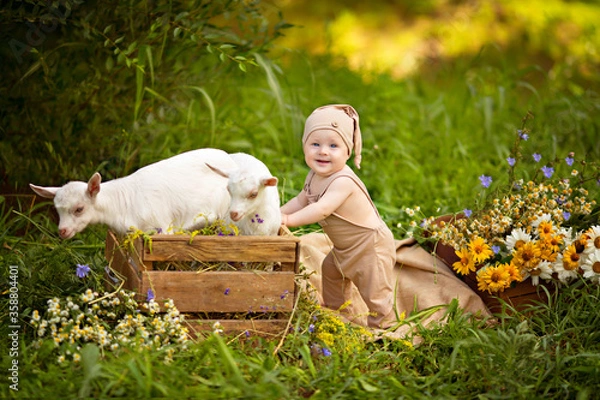 Obraz Portrait of a cute happy boy of 10-12 months in a gnome costume with white goats in spring on nature in a village with greenery and flowers.