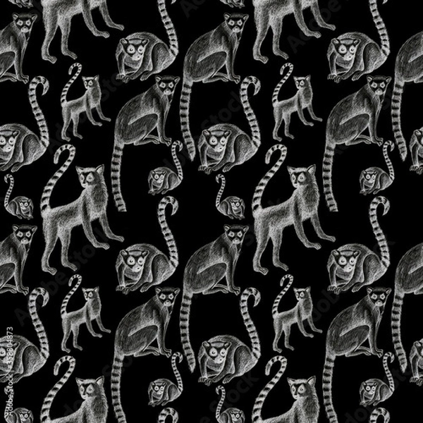 Obraz lemurs pattern drawing silhouette tropical animals isolate object black backgroun
