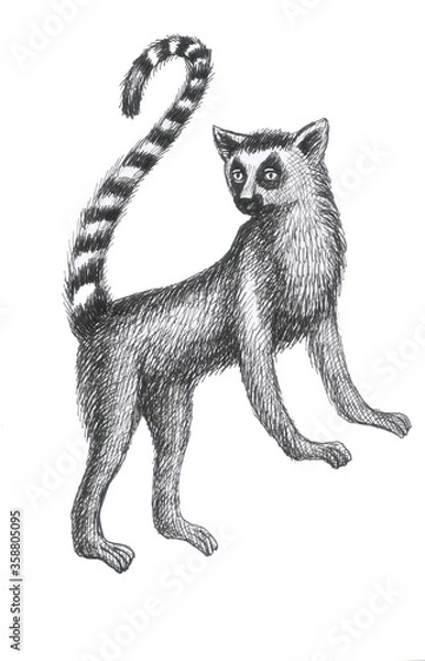 Obraz lemurs pattern drawing silhouette tropical animals isolate object white backgroun