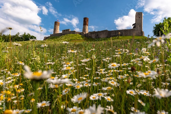 Obraz Zamek Chęciny 