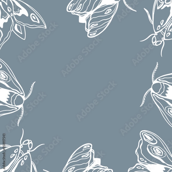 Fototapeta Cute vintage moths with tendrils top view square border frame on white background. Digital doodle outline art. Print for cards, wrapping paper, packaging, invitation, wedding