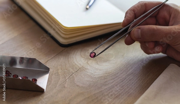 Obraz Hand holding a ruby gemstone with jewelry forceps. Gemologist workspace.