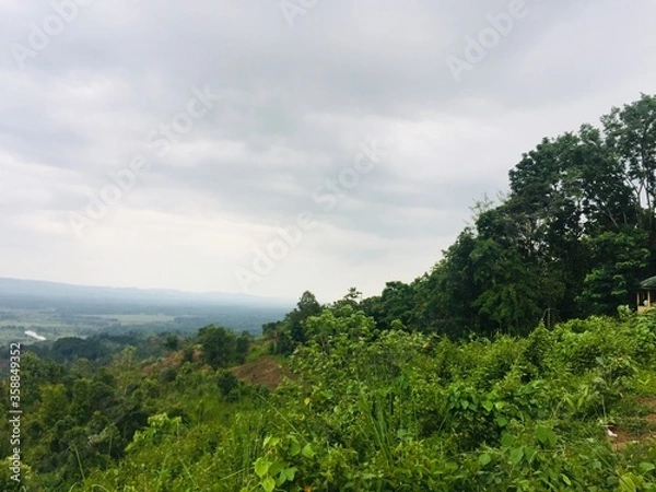 Fototapeta landscape with trees and clouds