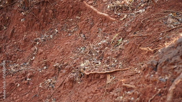 Fototapeta Texture Stone Rock