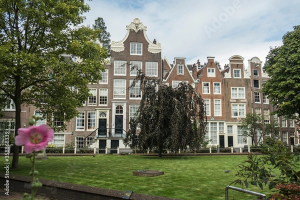 Fototapeta Notherlands