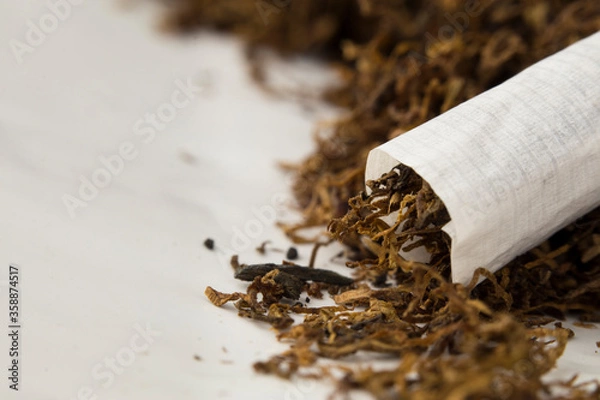 Fototapeta macro photo of hand rolled tobacco in its leaves. there is space in the photo for text.
