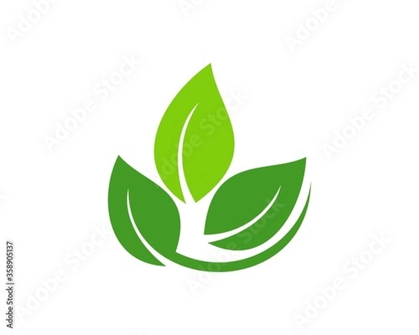 Fototapeta Simple three leaf