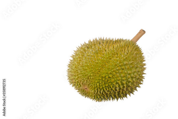 Fototapeta Durian king of fruit
