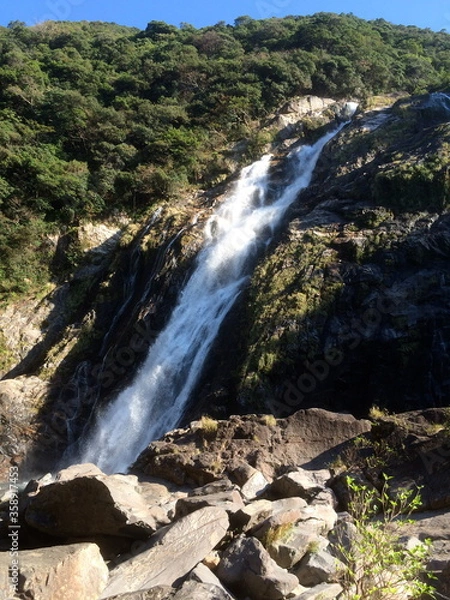 Fototapeta 屋久島