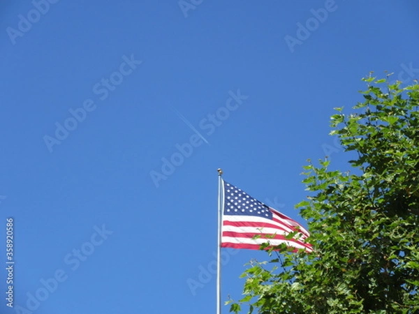 Obraz カリフォルニア