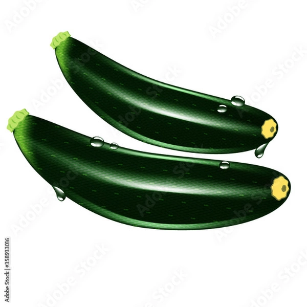 Obraz ズッキーニ