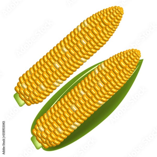 Obraz とうもろこし