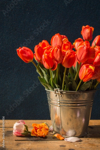 Fototapeta bouquet of red tulips in a metal bucket on a wooden table on a dark background