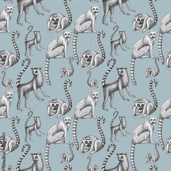 Obraz lemurs pattern drawing silhouette tropical animals isolate object gray background primacy