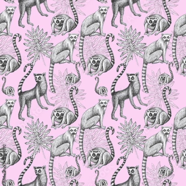Obraz lemurs pattern drawing silhouette tropical animals isolate object pink background primacy