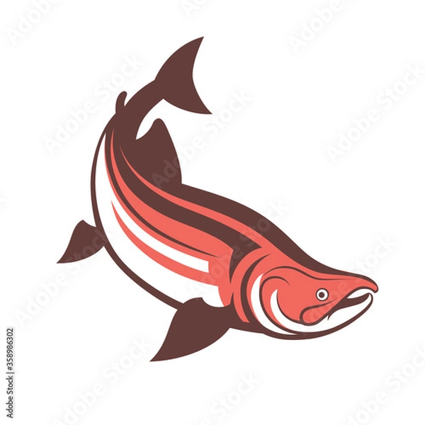 Obraz salmon fish logo template vector illustration