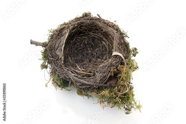 Obraz empty bird nest