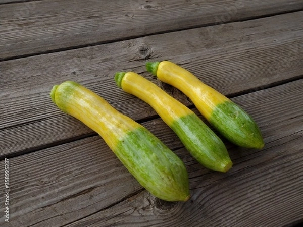 Obraz ズッキーニ　グリーンパンツ