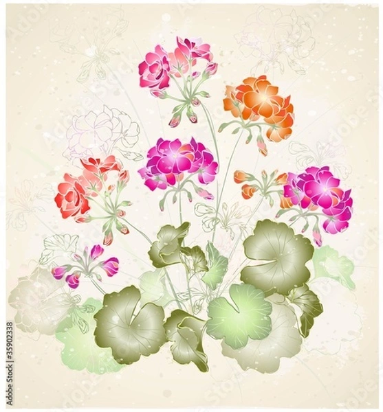 Fototapeta Greeting card with geranium.