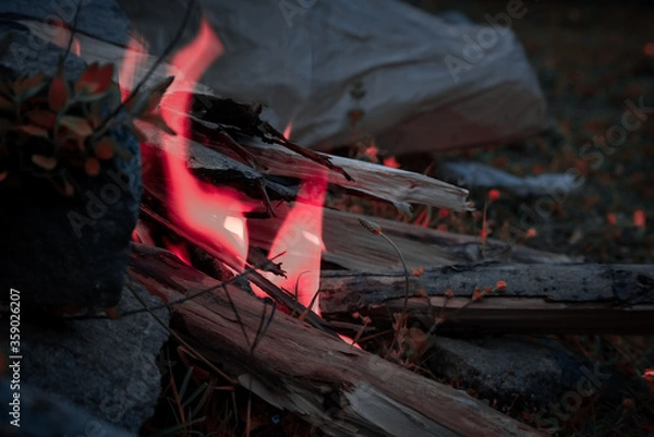 Obraz fire in the fireplace