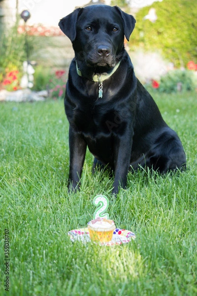 Fototapeta 2nd Birthday