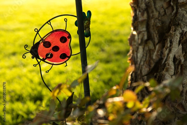 Fototapeta Garden Decor