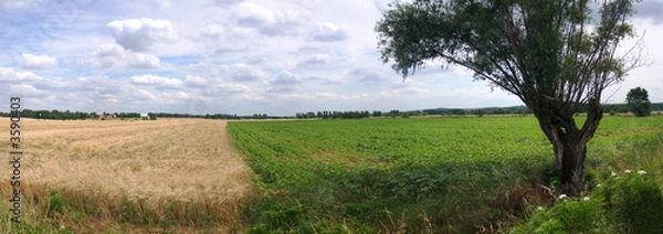 Obraz dans le lauragais