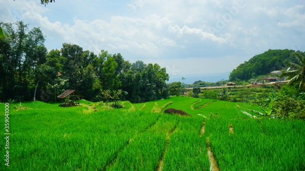 Fototapeta A beautiful view of the ancient volcano in Yogyakarta
