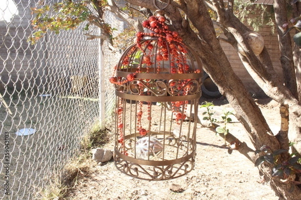 Obraz Jailbird 
Jaula para pájaro