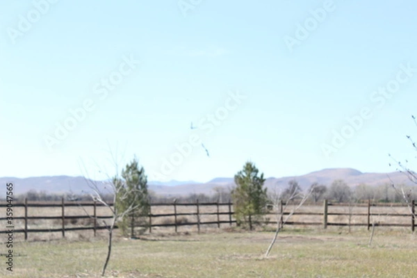 Obraz real small ranch