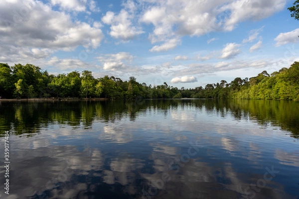 Fototapeta Reflections of the sky and the forest in the Farlows lake in London.
