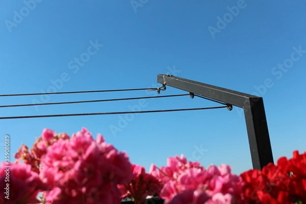 Obraz flowers in the sky