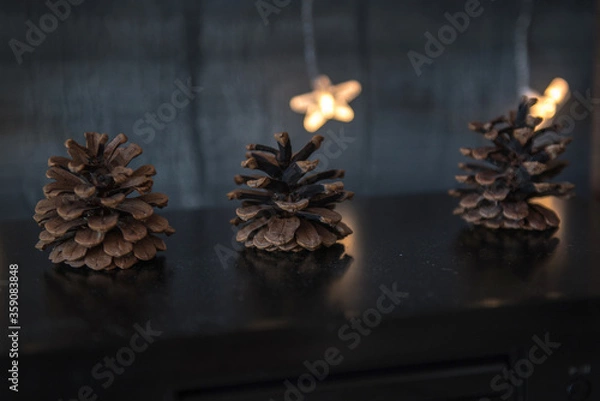 Obraz christmas still life