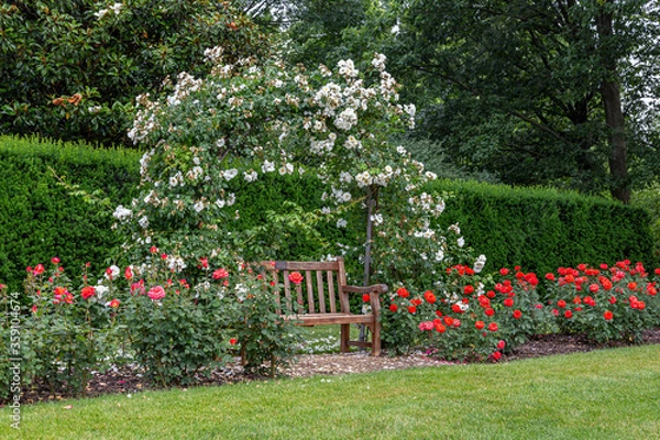 Obraz Bench in Rose Arbor