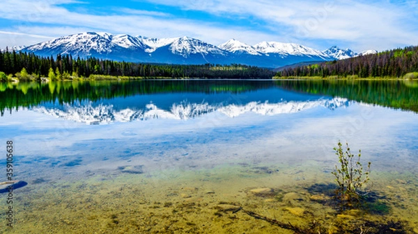 Fototapeta Patricia Lake with reflections of the snow capped peaks of the Rocky Mountains in Jasper National Park, Alberta, Canada