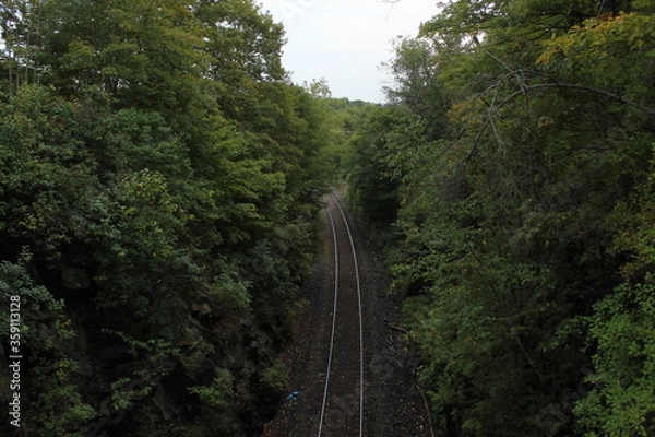 Obraz Forest of train