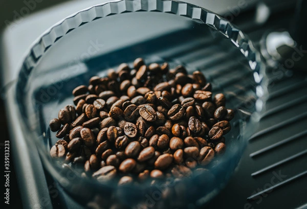 Obraz Freshly roasted coffee beans in hopper in home espresso machine