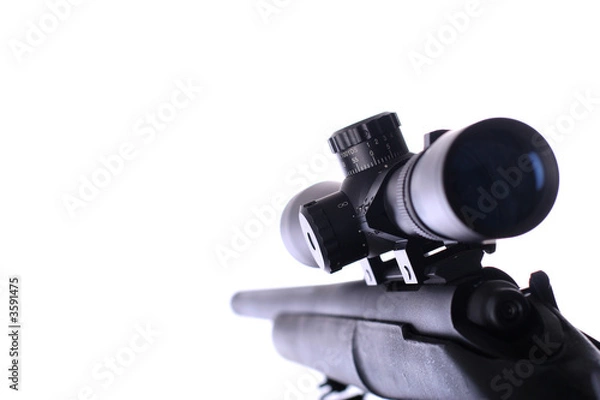 Obraz sniper rifle