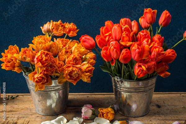 Fototapeta two bouquets of red and orange tulips in metal buckets on a wooden table on a dark background