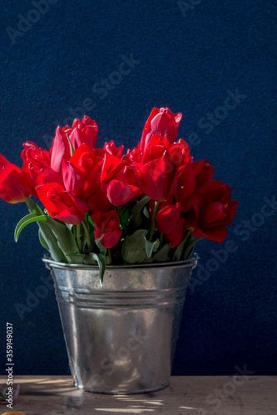 Fototapeta bucket of red tulips on a wooden table on a dark background