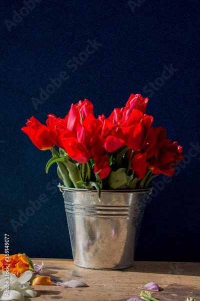 Fototapeta bucket of red tulips on a wooden table on a dark background