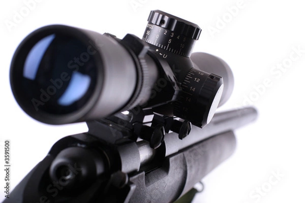 Obraz sniper rifle